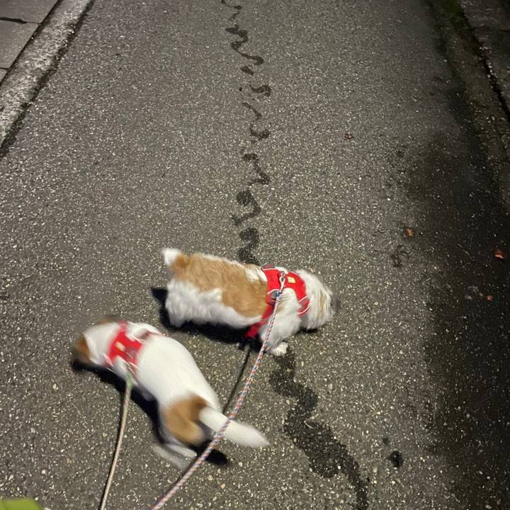 9c6b9e62 6a04 4f0f a8d7 c295a533c053 1667385980240