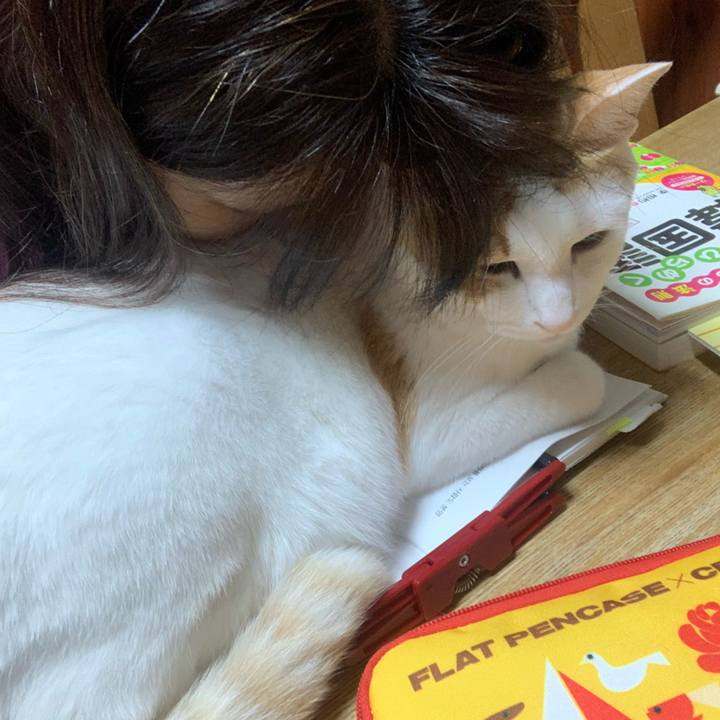 9c6ba9de 5828 4a14 8cb3 0bccf27e140e 1617721262046