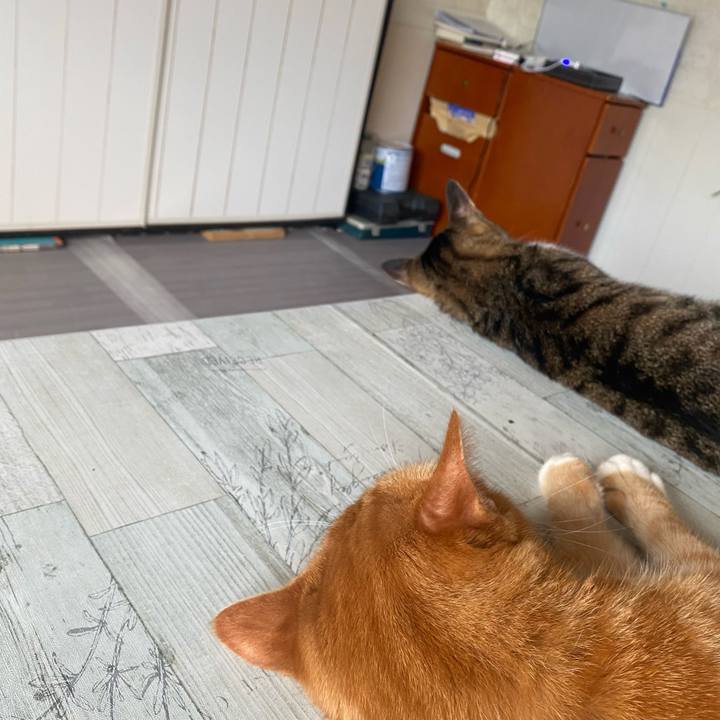 9c6bc09c 6b4a 4543 bae6 9614a131ba42 1630039656544