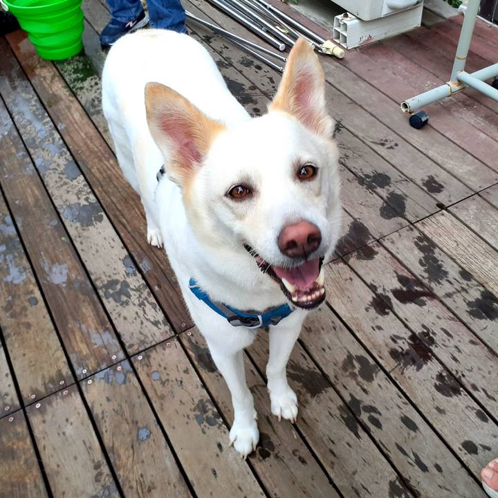 9c6bd558 57da 42be b468 a8624f0a9bad 1625666026586