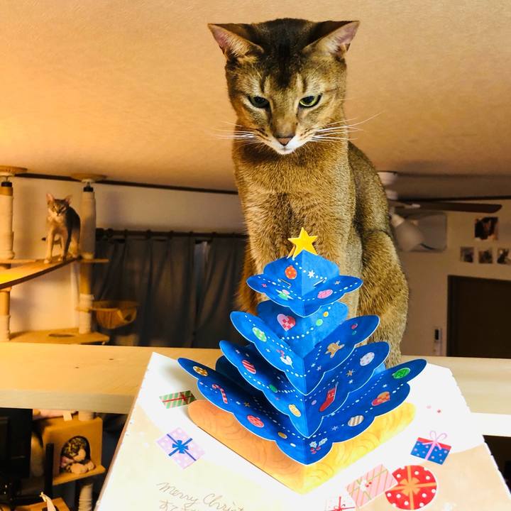 9c6bed57 598a 4709 a6f8 a32667b8be1b 1764064764344