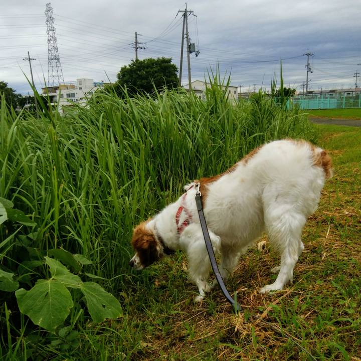 9c6c09cf f28c 4adf 89fd 8dd8f07df590 1562846445969