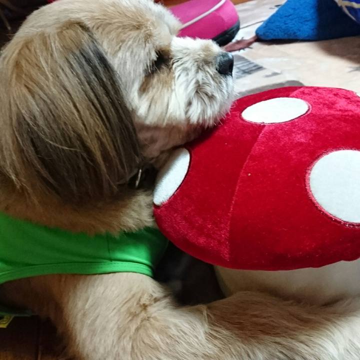 9c6c444d e068 4bd0 913b 8d162acf737b 1511652441097