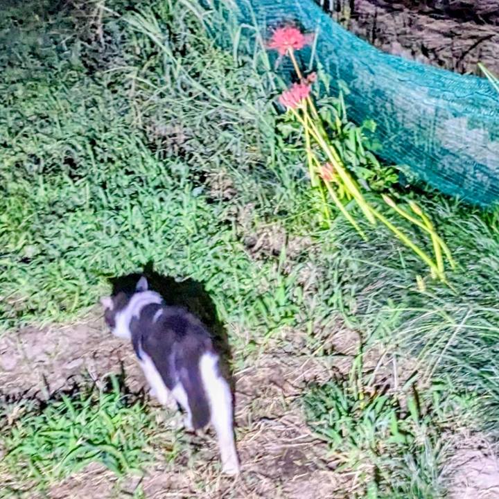 9c6c4bea 2082 4943 a995 b61ac86ee5ad 1758022714702