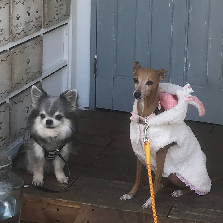 9c6c6357 05a1 4d9b bf96 e21da9347165 1518782410829