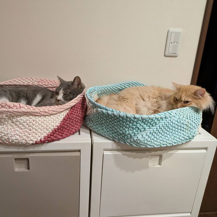 9c6cade0 6ab2 4b07 b5c1 e2dccc82dfb5 1752500694723