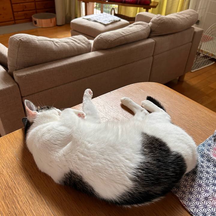 9c6cd311 3ac3 4086 84a3 82b4c4561ba8 1750811190691