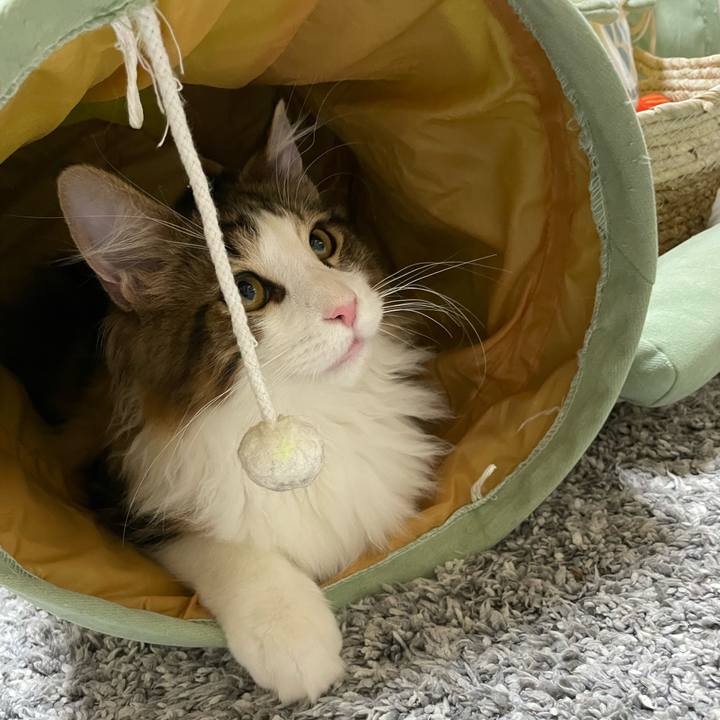 9c6cee54 1ac1 4f7e a79e 151f66d73d2c 1637831830362