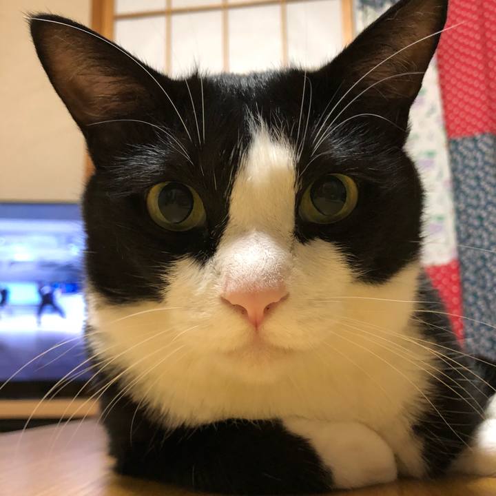 9c6d039e fc53 438f 98aa 2e608ab16734 1532788873318