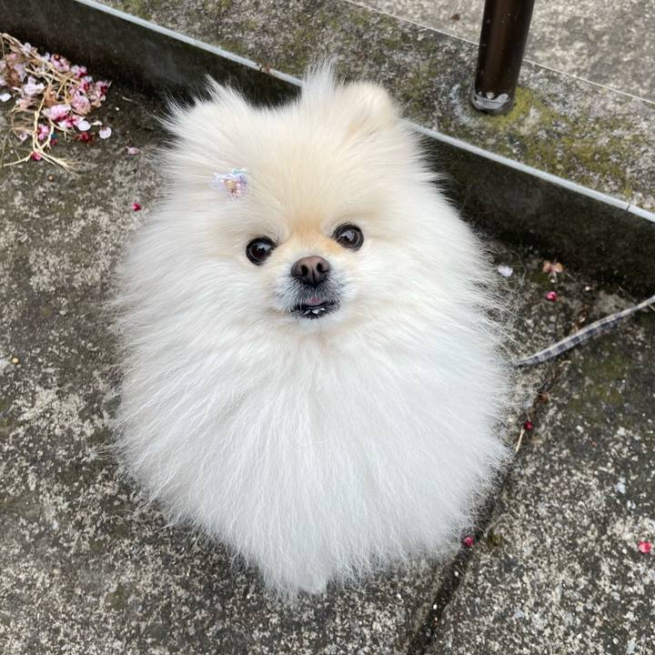 9c6d26b6 5167 4b2b a9fa 44015753bb4b 1647566696604