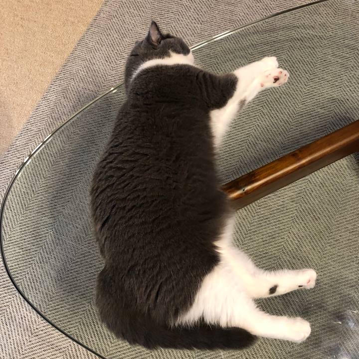 9c6d4181 f444 4419 bfe3 4663f961718a 1565677511531