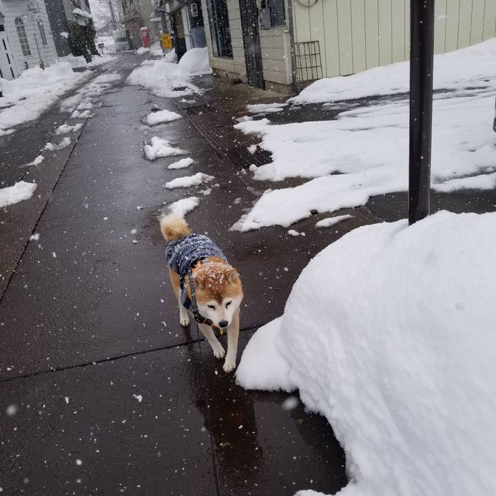 9c6d66fe 2d15 4e51 838d aa2119738ede 1642411886671