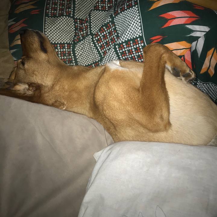 9c6d8837 1bc3 4399 b571 64bbd1432e66 1549315911587