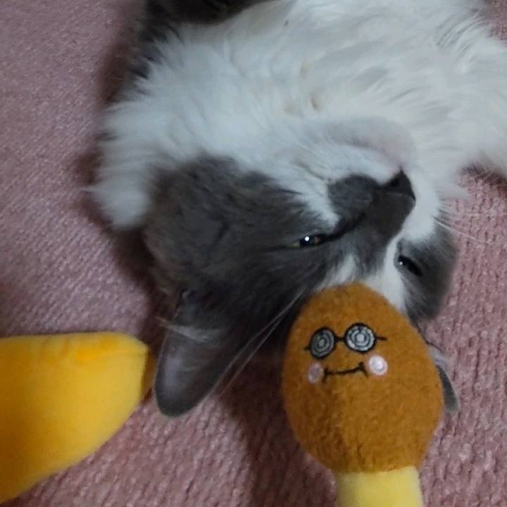 9c6d9a15 fc00 4c55 9a64 3d7f7d0cdf5f 1654056300009