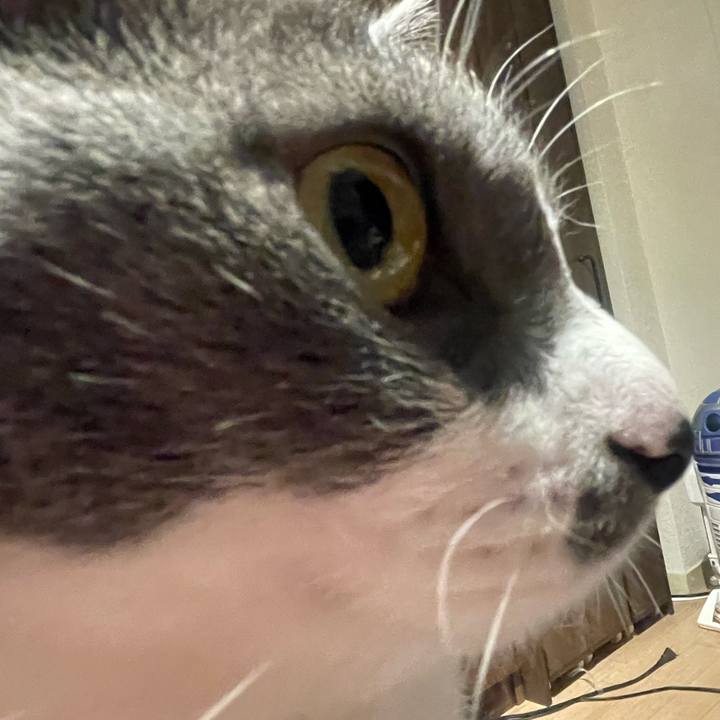 9c6db061 0286 41a7 a6aa 1f27a7cd4c7b 1653136933759