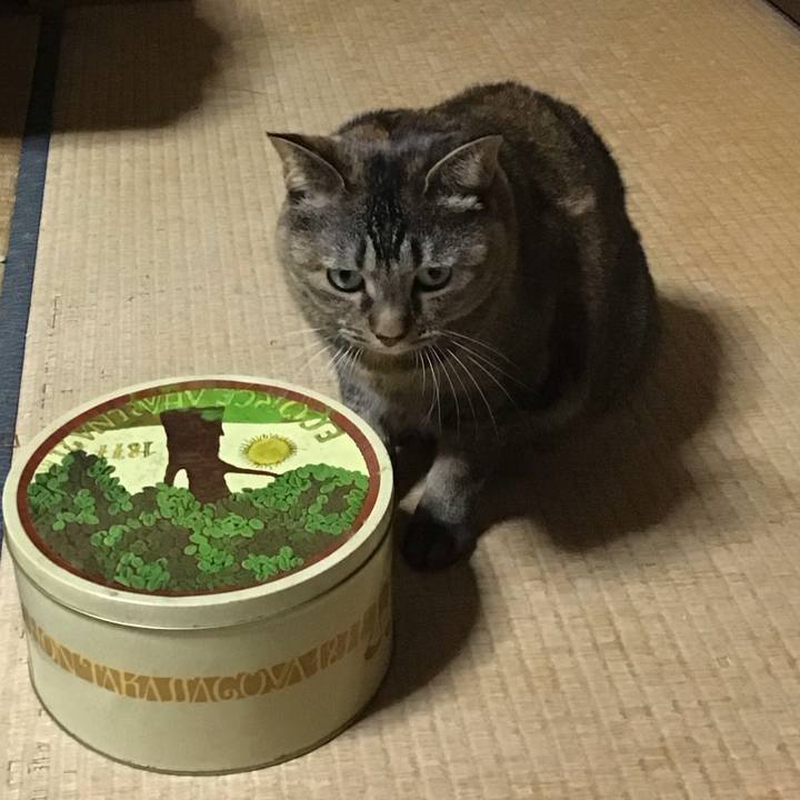 9c6dcfa5 cf3e 4c55 85a7 7c4bf762a188 1730800525214