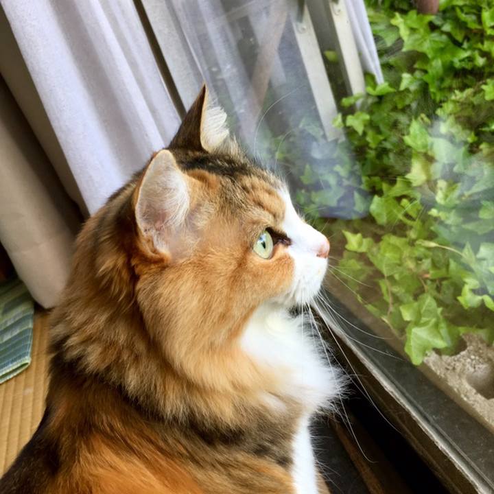 9c6de94b 0a18 467a b24b e46d9070301d 1558561094827