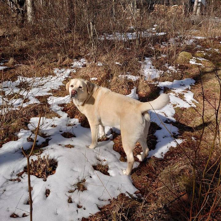 9c6e05df 9d7c 4d5c b610 f68c8484fc35 1679464228765