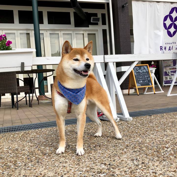 9c6e1a76 4ba0 405d b21a ece94a58cee0 1528424758833