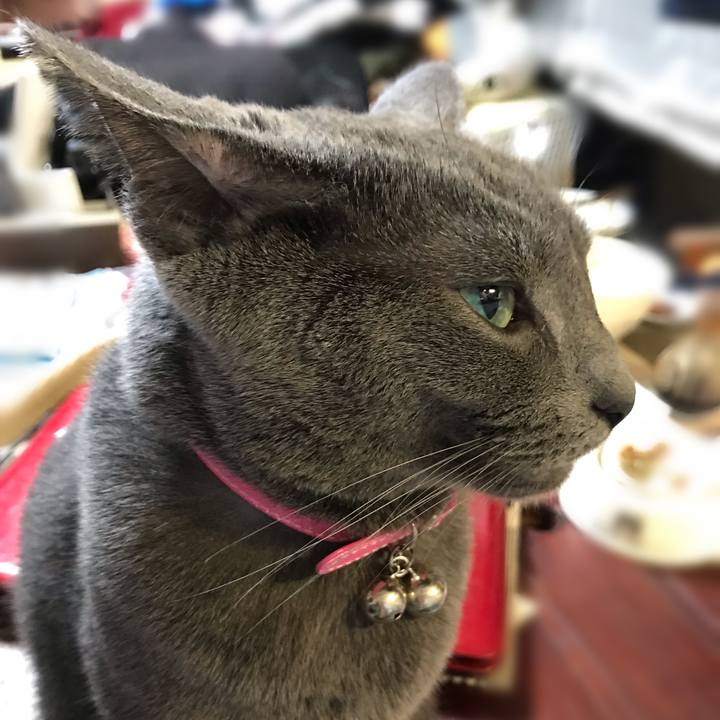 9c6e5348 32d5 4d65 9487 e3cde3ebf268 1544015047754