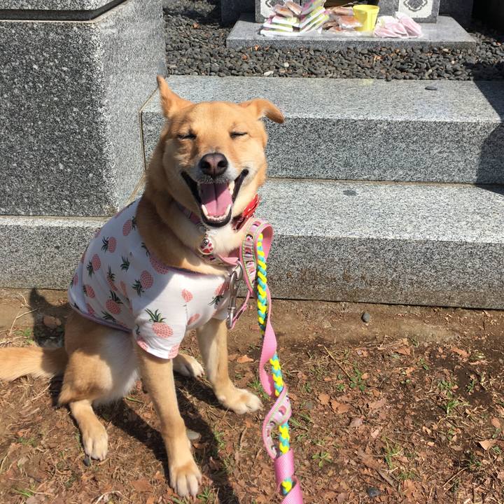 9c6e8125 cfab 4aa6 acf0 f7159662fbb8 1521015410713