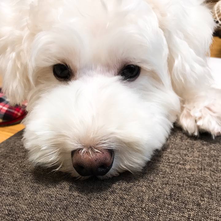 9c6ec275 0426 433b a07c 7579fe923106 1565181684128