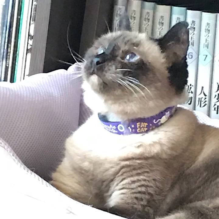 9c6f0be5 d649 4cc9 bac5 943f3137061a 1569495398818