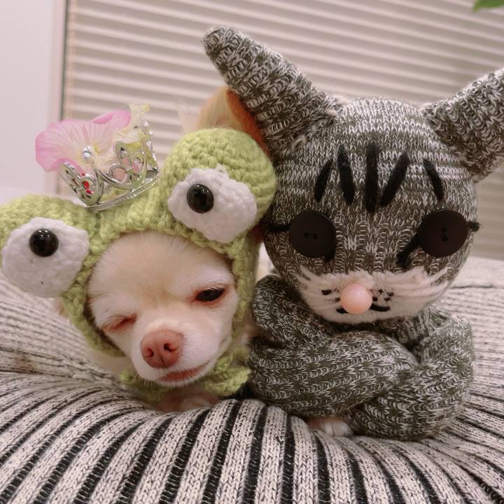 9c6f0c20 bfb5 4eb2 b165 6eab12e9d2ac 1688286173104