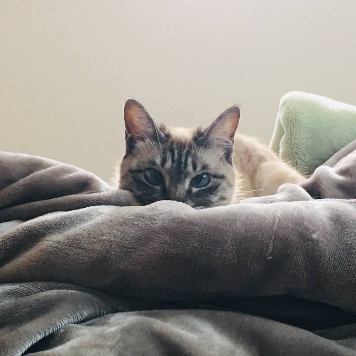 9c6f1e59 a413 4107 a59c a86ba0d0da35 1583046718963