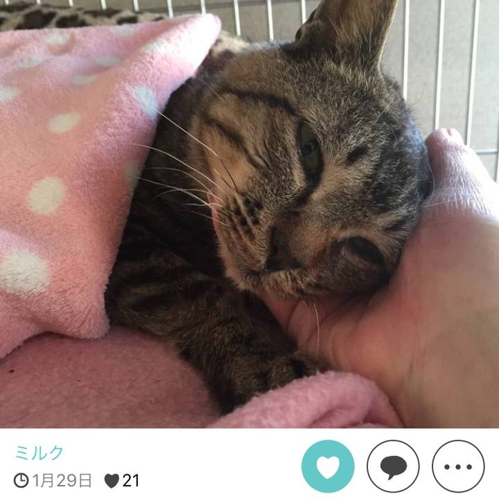 9c6f615c a196 46c0 81ef 1b3b7d62ff21 1511689899626