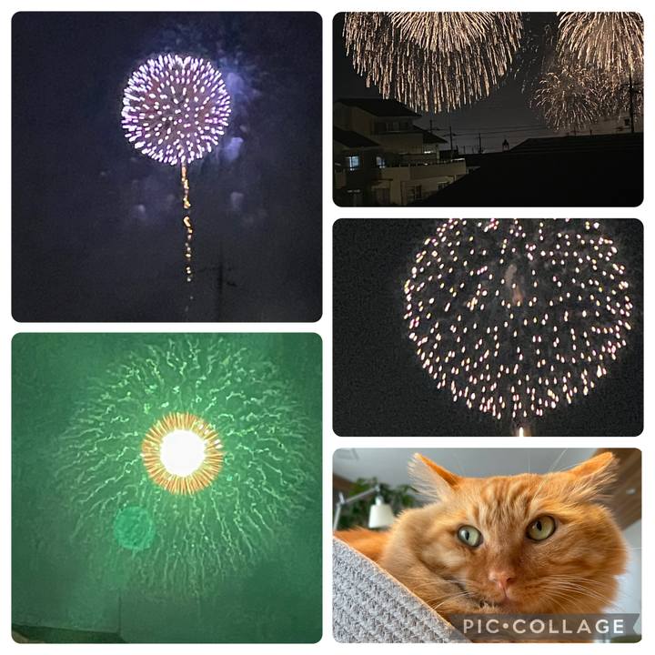 9c6f6f1f bdb4 4ae8 ac43 9229f2e4a5da 1754970042386