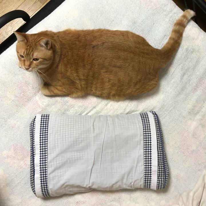 9c6f8fe0 59b2 4839 a70e 47c9482a039a 1613736063287