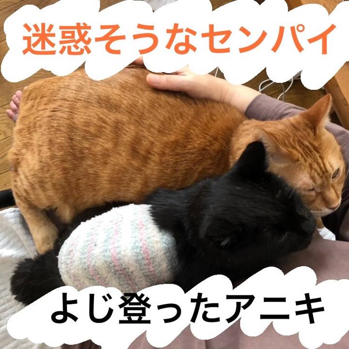 9c6fbf67 230d 4864 8d8d 018e36e784e6 1645316561977