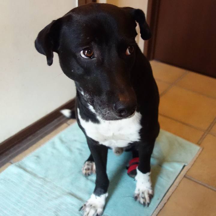 9c70592c cb75 431c 8f70 d793f81d287d 1623716041430