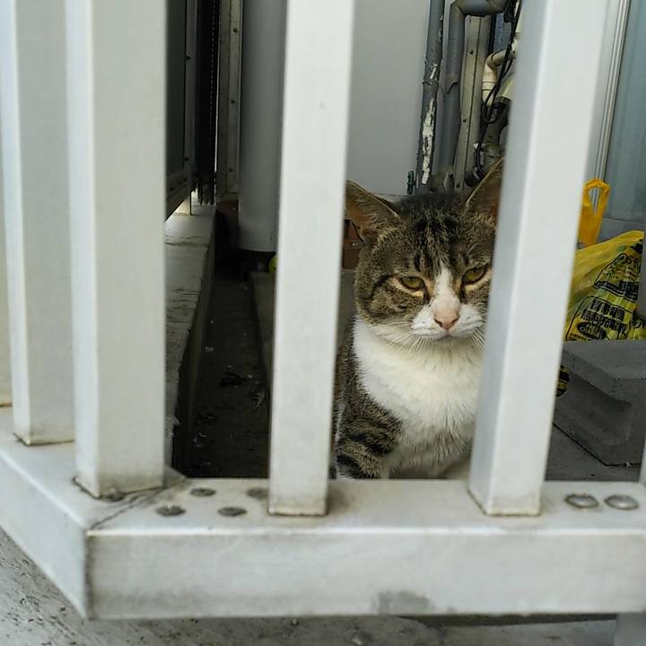 9c7097a3 be82 4679 a2f6 a31b91b76db7 1560932975206