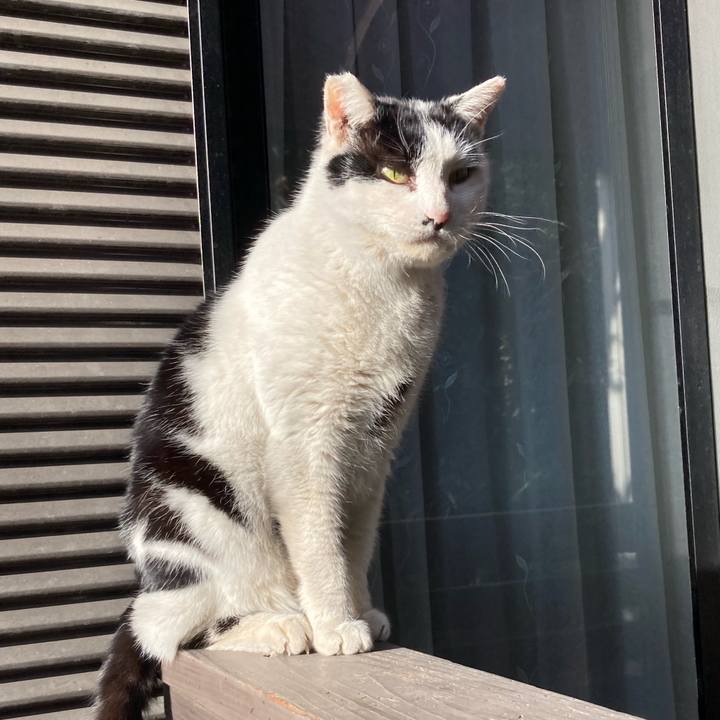 9c709956 d150 4770 bda2 e546d221da1d 1772872398543