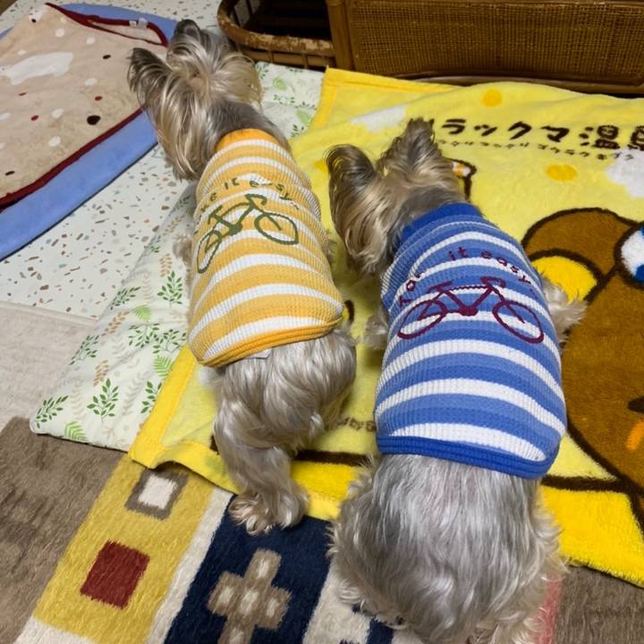 9c709c75 5a49 4e28 8657 6a92fc2ac671 1674465117726