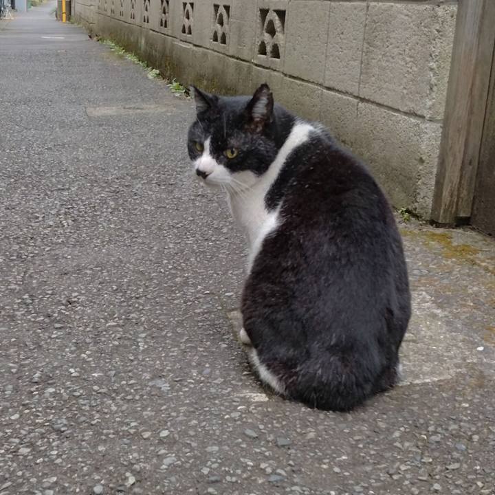 9c70ec9b 06bb 435a 998f 434c77f4f113 1699141787815