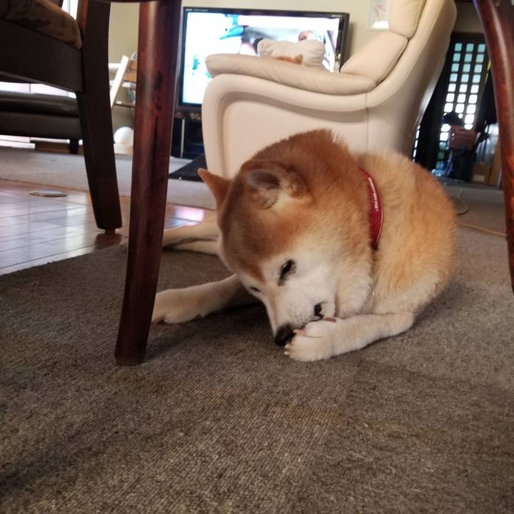 9c7117bc 3304 457c 80a6 b92182277abe 1724023728381