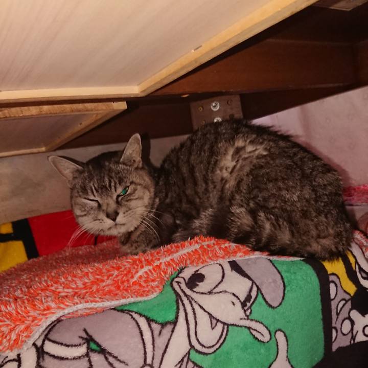 9c715eff bb76 44c7 a361 e31b99ddb0b9 1580531538184