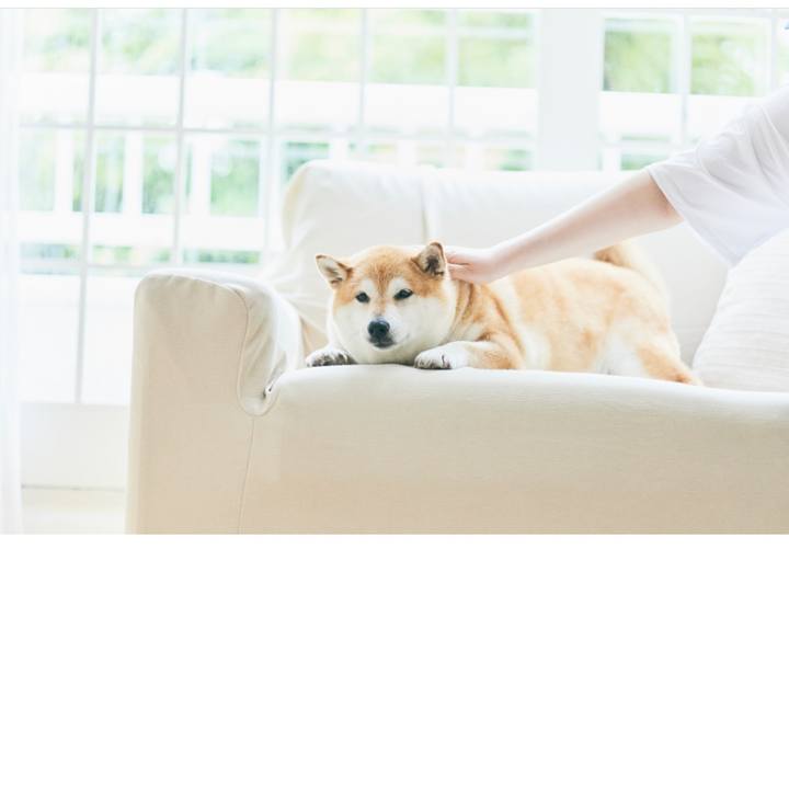 9c716705 b402 4cf2 af6a 9741fae3781f 1688301796639