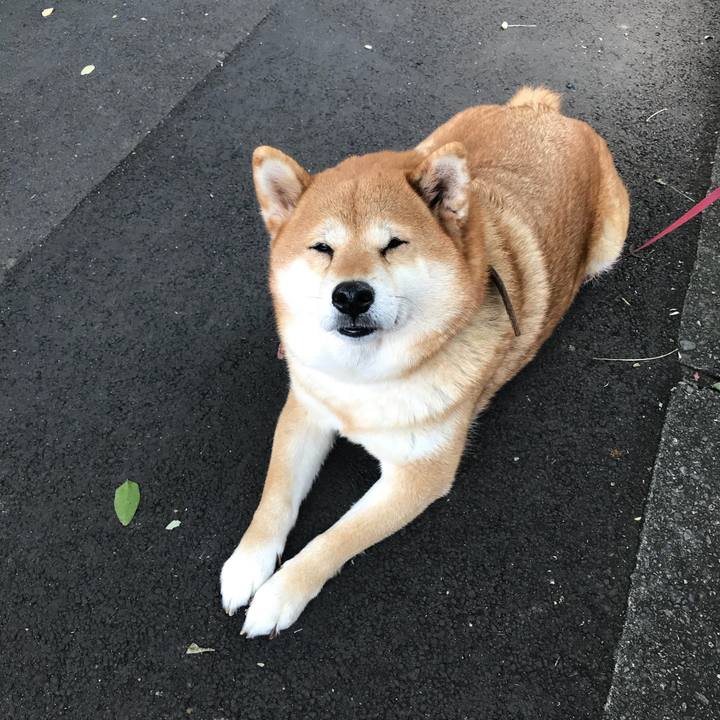 9c7170ca 52ca 4cd1 b08f 1972c455b81a 1509076964355