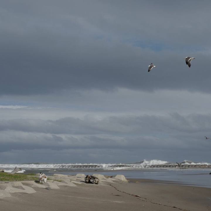 9c7176e6 9624 4e40 91f0 a24194fb9dde 1560745374979