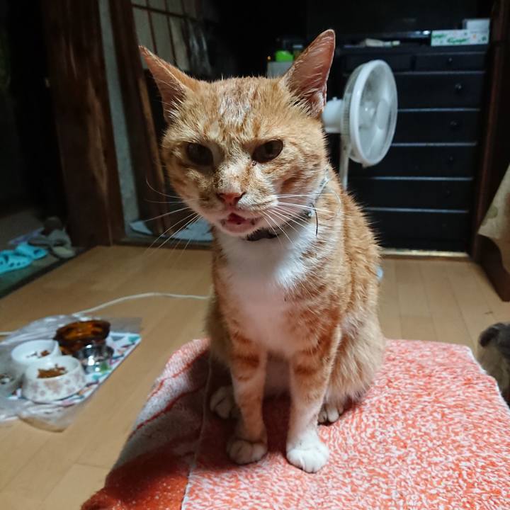 9c71958c 5e70 4a1c b862 47cb38bdef9b 1597176093228