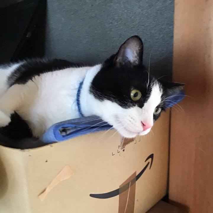 9c71a2e7 6aae 46f8 a56a 0e9d81d2ec7e 1753617189178