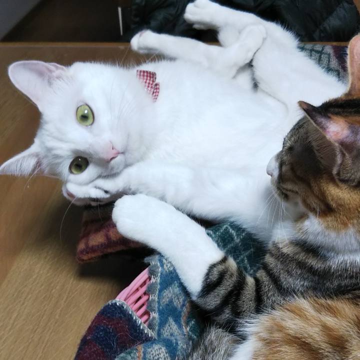 9c722423 375f 4a0b 9dc4 a85dfbb627f1 1635842813110