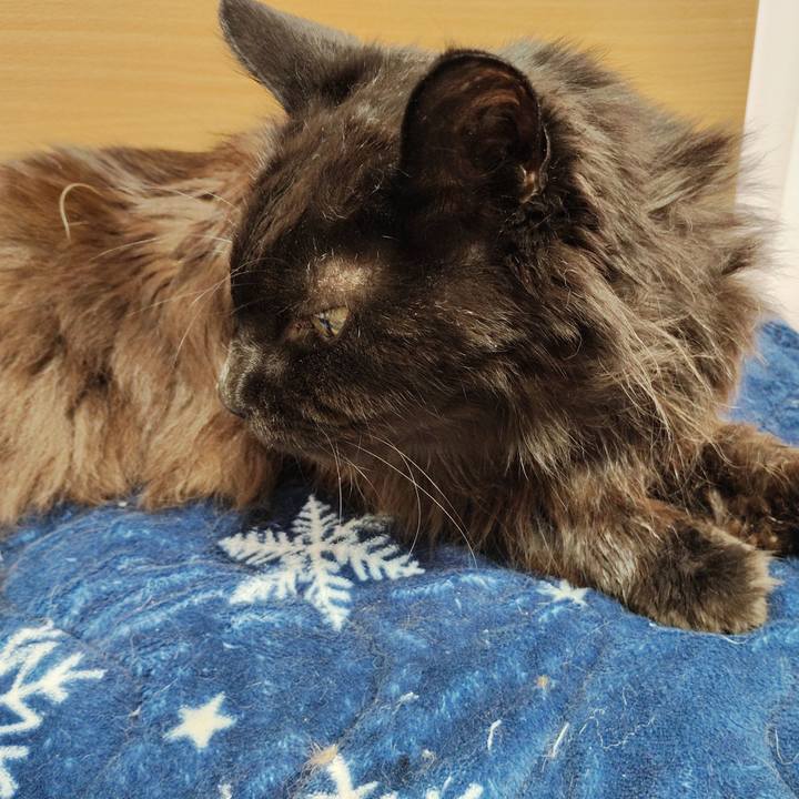 9c725acf 9f9e 4832 8a38 1d0bc27fcc9d 1775716984356