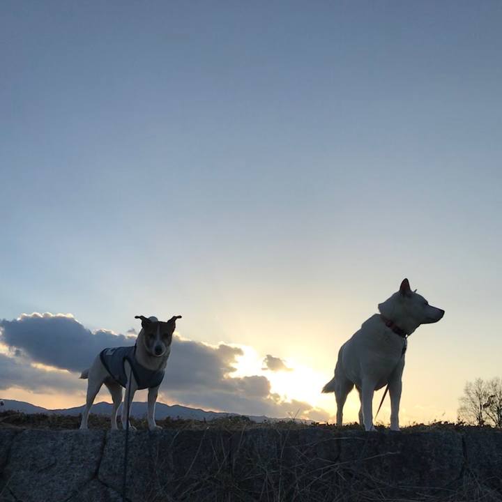 9c725fea a466 48b8 a5e6 b6617154e118 1518346940081