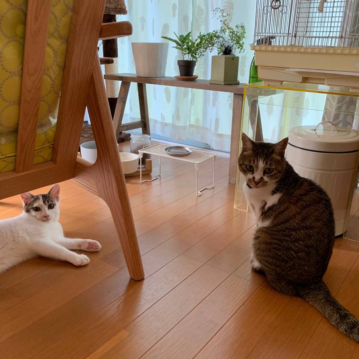 9c727138 e448 49b6 a6b8 d59014b08c88 1597971849238