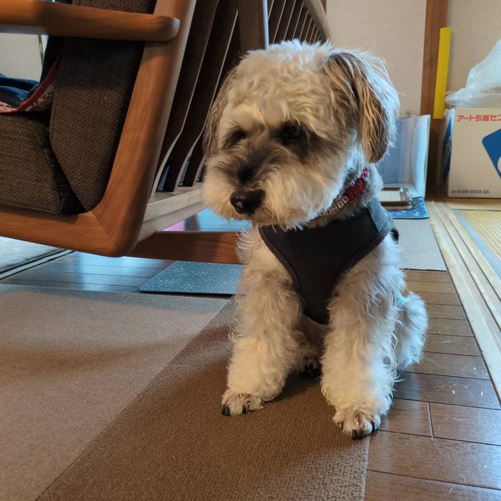 9c728677 2a19 404f af29 9168adeab877 1754876937887